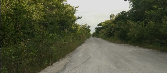Exigen usuarios reparación de carreteras rurales en Bacalar, amenazan con cierre de escuelas.