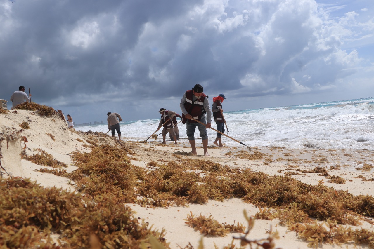 Garantiza gobierno de Ana Patricia Peralta playas limpias en Cancún 