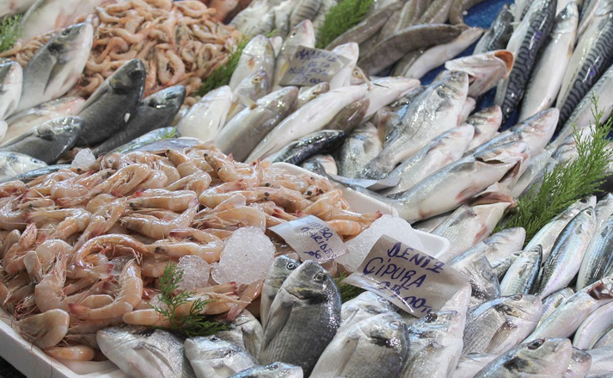 Expendedores de pescados y mariscos esperan “milagro” en Semana Santa.