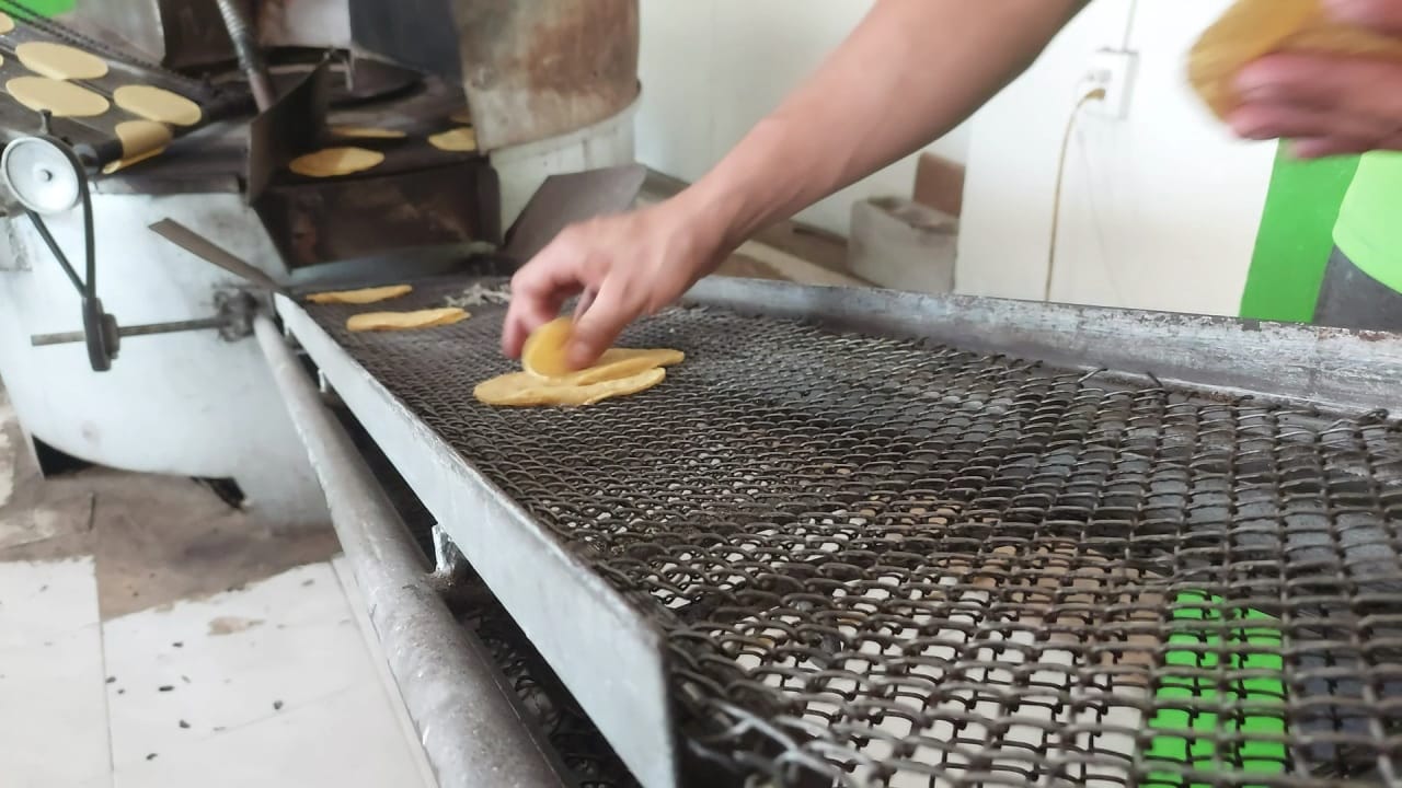 Tortillas alcanzan los 30 pesos por kilogramo 