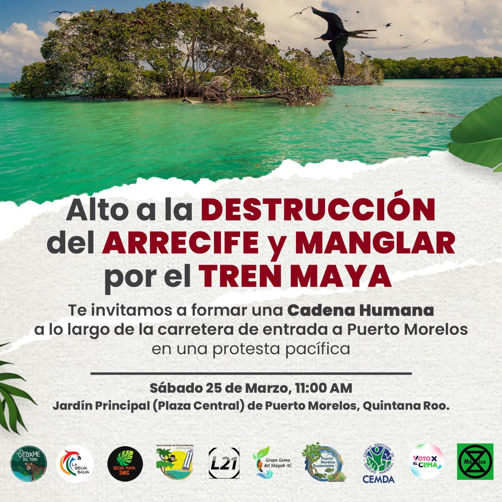 Arrecife de coral en Puerto Morelos en riesgo, advierte Jean-Michel Costeau, a Amlo