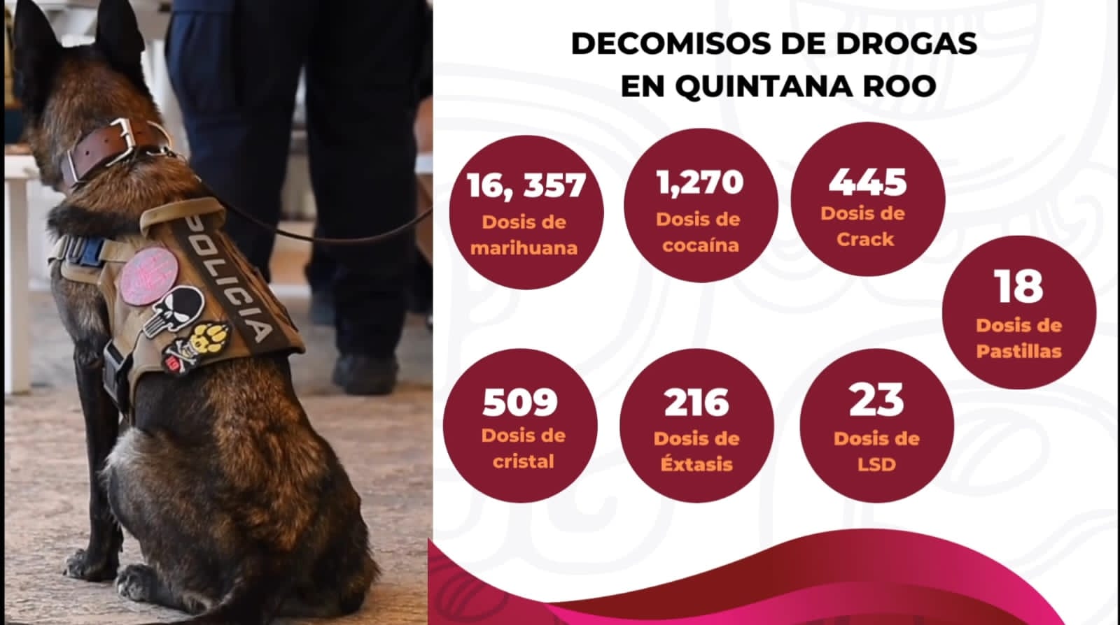 Policía de Quintana Roo incauta más de 18 mil dosis de narcóticos en marzo