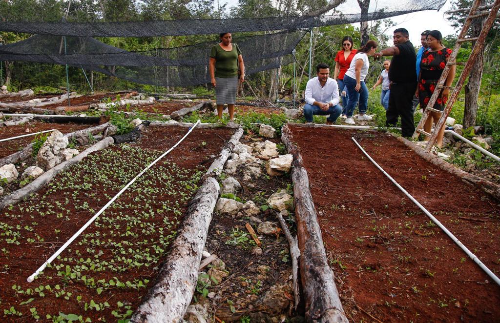 Lanza Gobierno de Quintana Roo convocatoria para fortalecer los Huertos del Bienestar