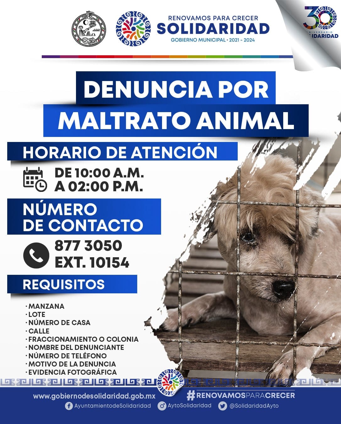 Gobierno de Lili Campos castiga el maltrato animal 