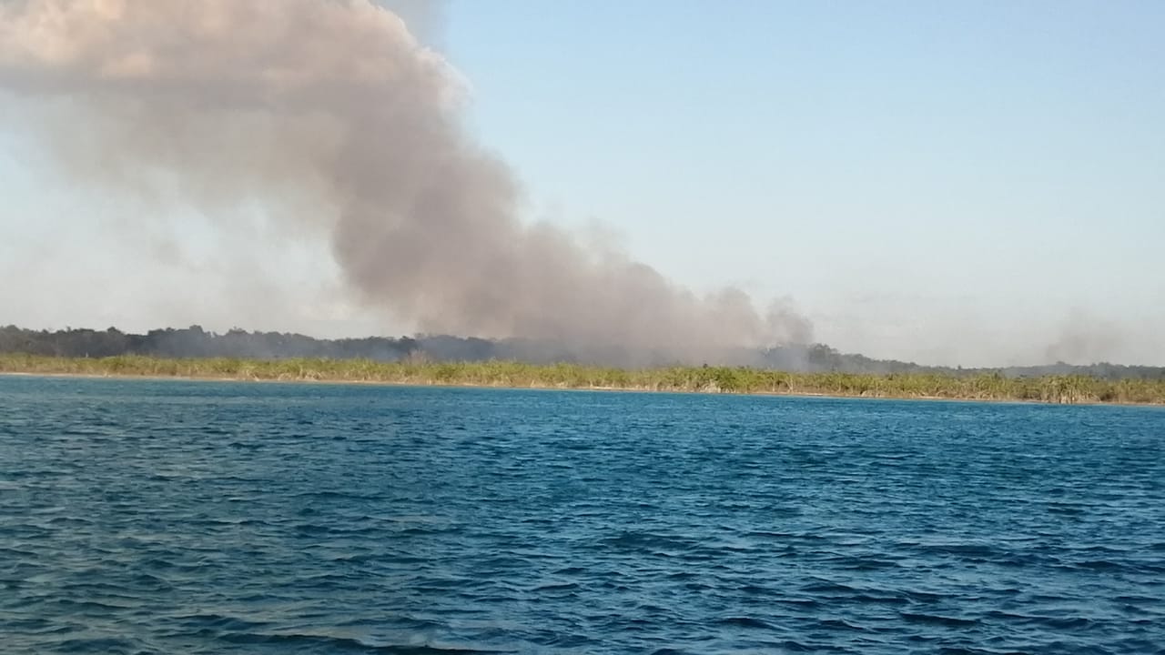 Incendio consume 50 hectáreas de mangle y selva en el sur de Quintana Roo