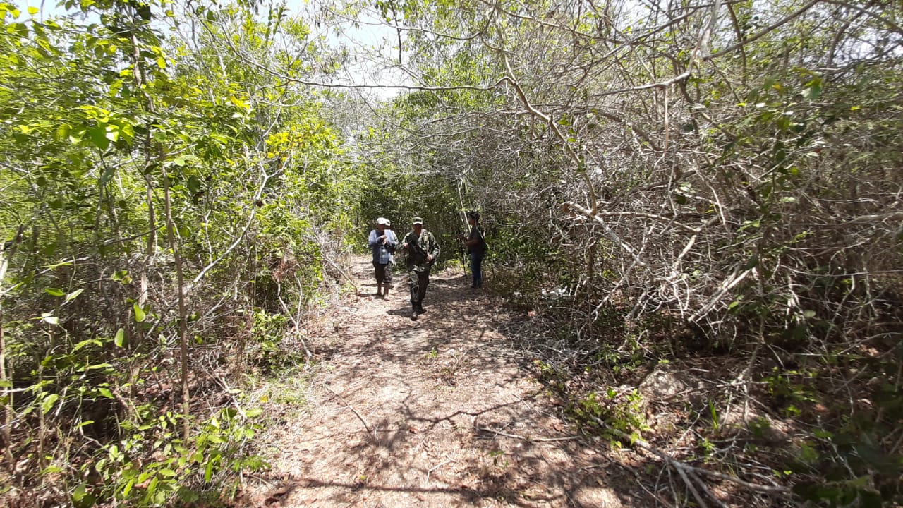 Insólito: Encuentran a niña que estuvo extraviada durante siete días en selva de Quintana Roo 