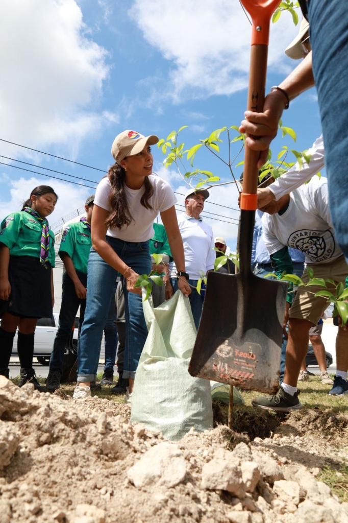 Gobierno de Ana Paty Peralta reforestan una de las arterias principales de Cancún 