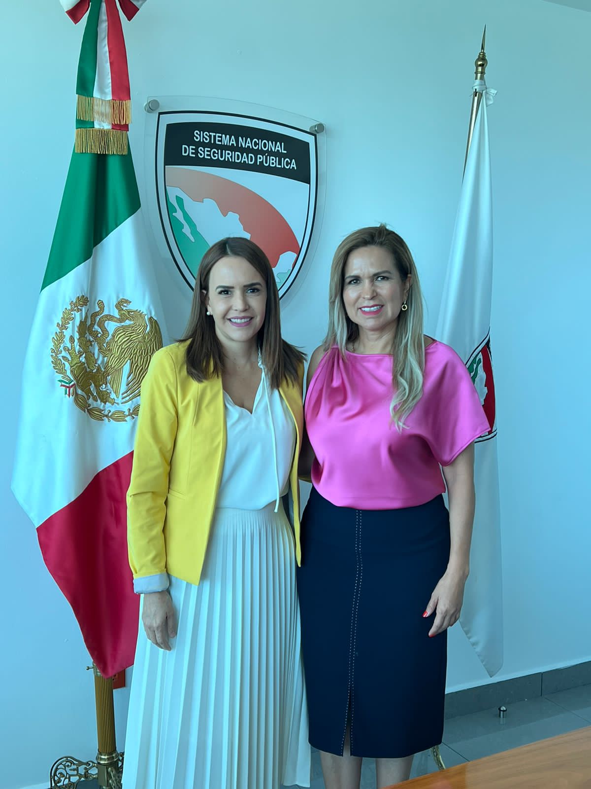 Lili Campos se reunió en la Ciudad de México con el Subsecretario de la Secretaría de Seguridad Ciudadana