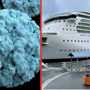 Norovirus